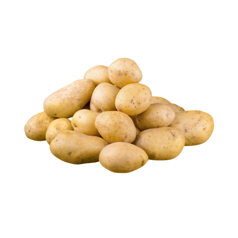 Potato